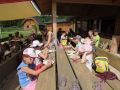k-IMG_1338