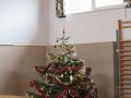 k-IMG_0512